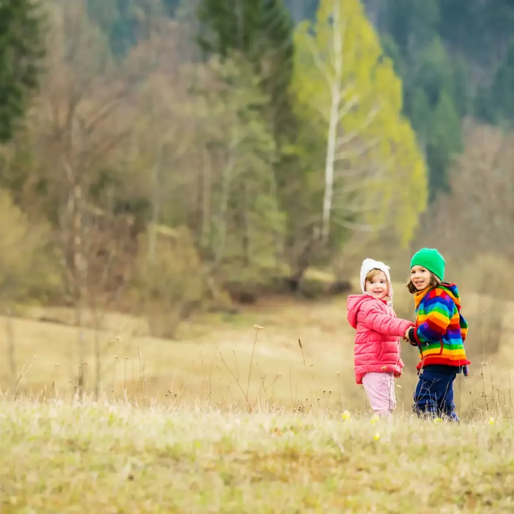 meningokocker-setting-bild